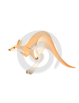 Cute adult jumping kangaroo australian animal cartoon animal design vector illustration isolated on white background