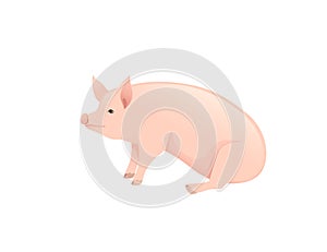 Cute adult pig farm animal cartoon animal design vector illustration isolated on white background