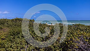 Cute aerial view of beautiful Hollywood city beach