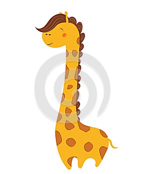 Cute african giraffe isolated on white background