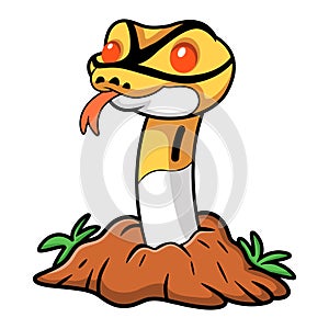 Cute albino pied ball python cartoon out from hole