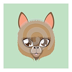 Cute alpaca avatar with flat colors