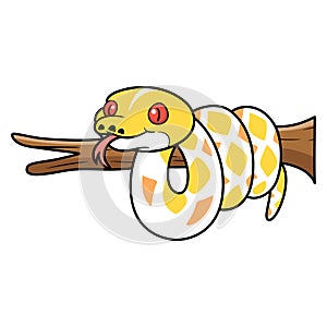Cute amelanistic reticulated python cartoon on tree branch