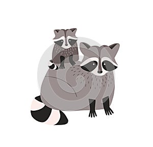 Cute amusing raccoon with cub isolated on white background. Family of funny adorable wild forest carnivorous animals