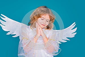 Cute angel kid, studio portrait. Blonde curly little angel child with angels wings, isolated background. Dreamy angel