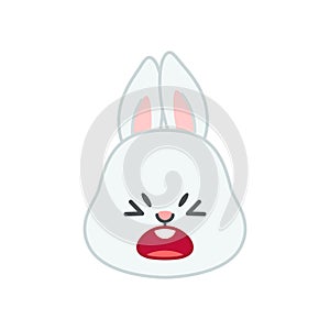 Cute angry bunny face