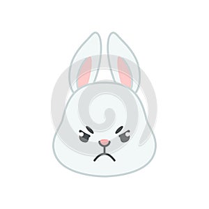 Cute angry bunny face