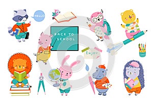 Cute animal back to school to study. Smart animals writing, reading book and drawing. Cartoon pig at blackboard, funny