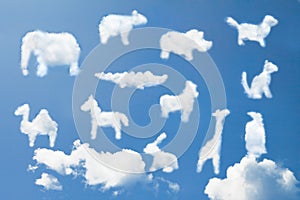 Cute animal cartoon pattern clouds shape