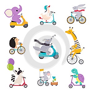 Cute Animal Character Riding Bike and Scooter Vector Set