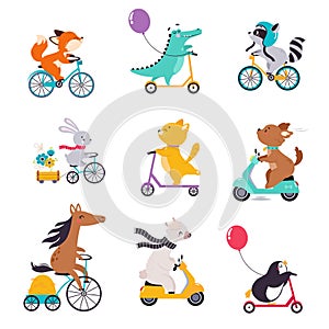 Cute Animal Character Riding Bike and Scooter Vector Set