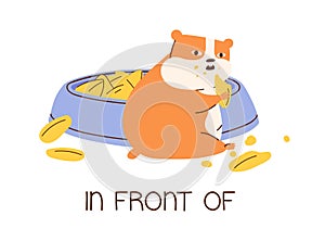 Cute animal demonstrating English preposition of place by sitting in front of bowl with food and eating grain. Funny fat