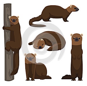 Cute Animal Fisher Cartoon Vector Illustration