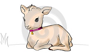 Cute animal goat