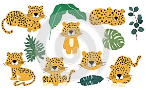 Cute animal object collection with leopard,tiger. illustration for icon,logo,sticker,printable