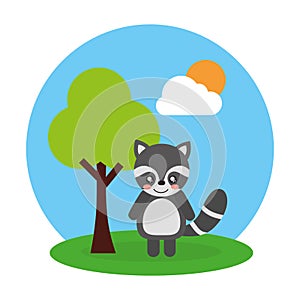 Cute animal raccoon tree and sky landscape