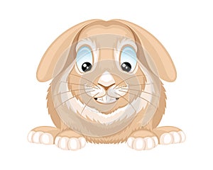 Cute animal smiling rabbit.