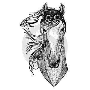 Cute animal wearing motorcycle, aviator helmet Horse, hoss, knight, steed, courser Hand drawn image for tattoo, emblem