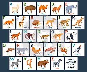 Cute Animals alphabet cards for kids education