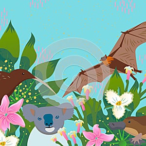 Cute animals of Australia. Kiwi, duck-billed, koala, a fruit bats with tropical leaves and flowers. Design a template card