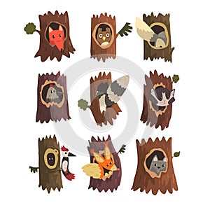 Cute animals and birds sitting in hollow of tree set, hollowed out old tree and fox, owl, wolf, raccoon, woodpecker and photo