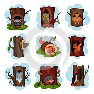 Cute animals and birds sitting in hollow of trees set, hollowed out old trees with fox, owl, hedgehog, raccoon