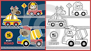 Cute animals cartoon on vehicles