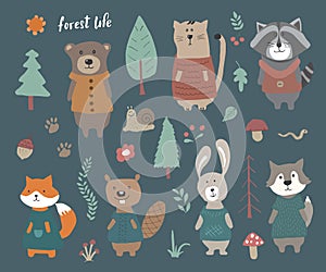 Cute Animals in clothes. Cartoon forest wildlife animals collection, fox, wolf, bear, beaver, raccoon, rabbit and wild cat. Vector