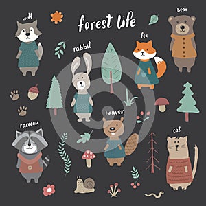 Cute Animals in clothes. Cartoon forest wildlife animals collection, fox, wolf, bear, beaver, raccoon, rabbit and wild cat. Vector