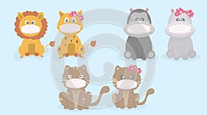 Cute animals don`t want to get sick. Cat, lion, hippo protect against viruses.animals wear surgical mask for protect viruses