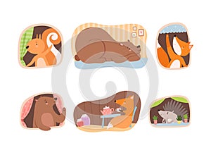 Cute animals living in their cozy burrows set. Squirrel, bear, fox, hedgehog doing casual things underground cartoon