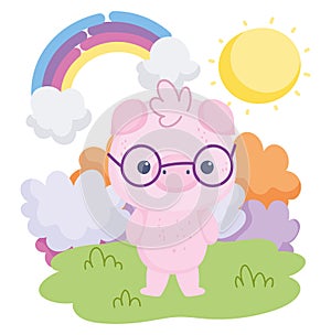 Cute animals pig with glasses rainbow clouds sun cartoon