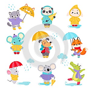 Cute Animals in Rainy Day Walking with Umbrella Vector Set