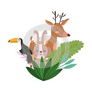 Cute animals reindeer toucan and rabbit foliage nature wild cartoon