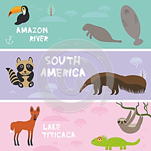 Cute animals set anteater manatee sea cow sloth toucan chameleon raccoon Maned wolf, kids background, South America animals Lake T