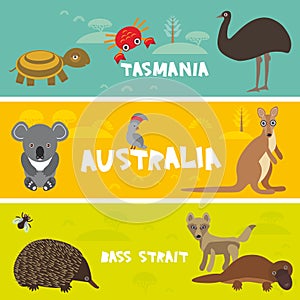 Cute animals set, Echidna koala Platypus ostrich Emu Cockatoo parrot turtle kangaroo dingo crab kids background Australia, Tasmani