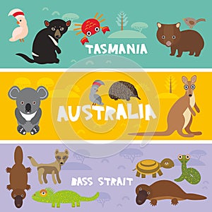 Cute animals set, Echidna koala Platypus Tasmanian devil Cockatoo parrot Wombat snake crab turtle kangaroo dingo kids background A