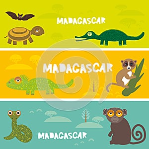 Cute animals set Turtle bat crocodile chameleon snake lemur, kids background African animals, Africa Madagascar bright colorful ba
