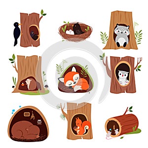 Cute Animals Sitting in Burrows and Tree Hollows Vector Set