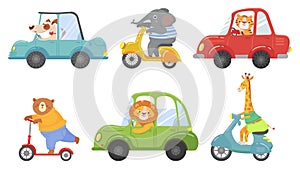 Cute animals on transport. Animal on scooter, driving car and zoo travel cartoon vector illustration set