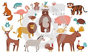Cute animals. Wood, farm and jungle animals, fox, lion, bear, elk, deer, tiger and ship. Wild forest fauna animals