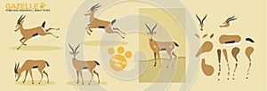 Cute animation Gazelle, ready to animate and rig, collection of poses, photo