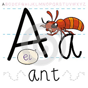 Cute Ant Teaching at you the Letter A, Vector Illustration