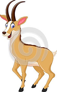 Cute Antelope cartoon smilling photo