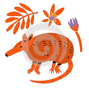 Cute armadillo hand drawn flat cartoon vector illustration. Funny exotic tropical animal with flower, leaves, blossom