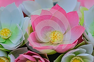 Cute Artificial pink lotus flowers or Water Lily. Artificial lot