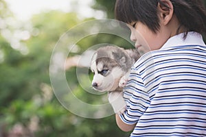 Cute asiaan child holding siberian husky