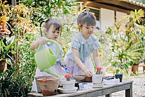 Cute asian child girl helping mother planting or cutivate the plants. Mom and daughter engaging in gardening at home. Happy activi