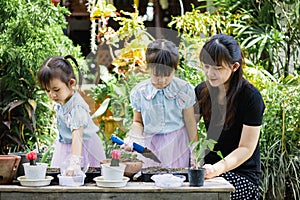 Cute asian child girl helping mother planting or cutivate the plants. Mom and daughter engaging in gardening at home. Happy activi