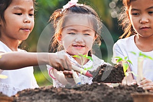 Cute asian children planting young tree in the black soil together in the garden